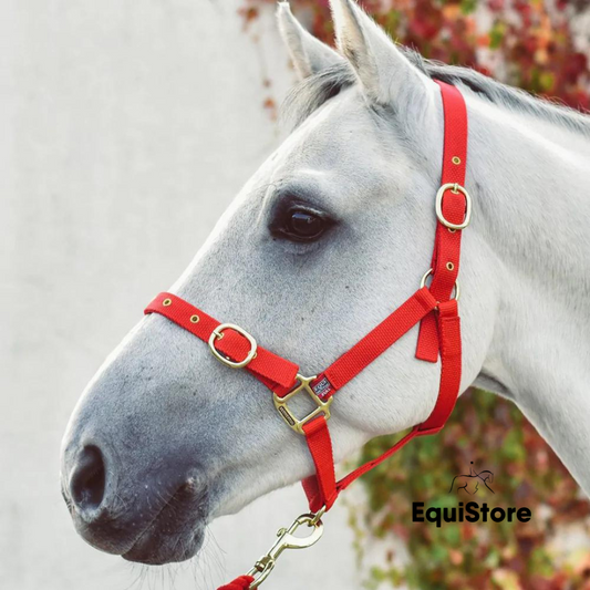 Mackey EquiSential Nylon Headcollar