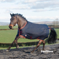 EquiSential Standard Neck Rug 0g