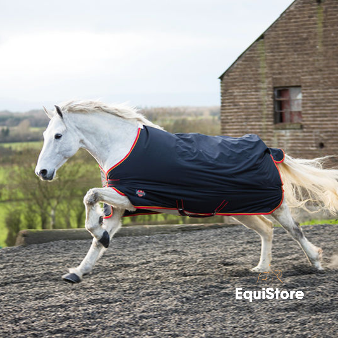 EquiSential Standard Neck Rug  for horses living outdoors. A medium weight turnout rug for horses and ponies. 