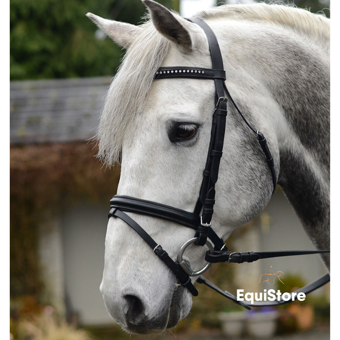 Equisential Bling Bridle and Reins, a value for money bridle for everyday schooling of your horse. 