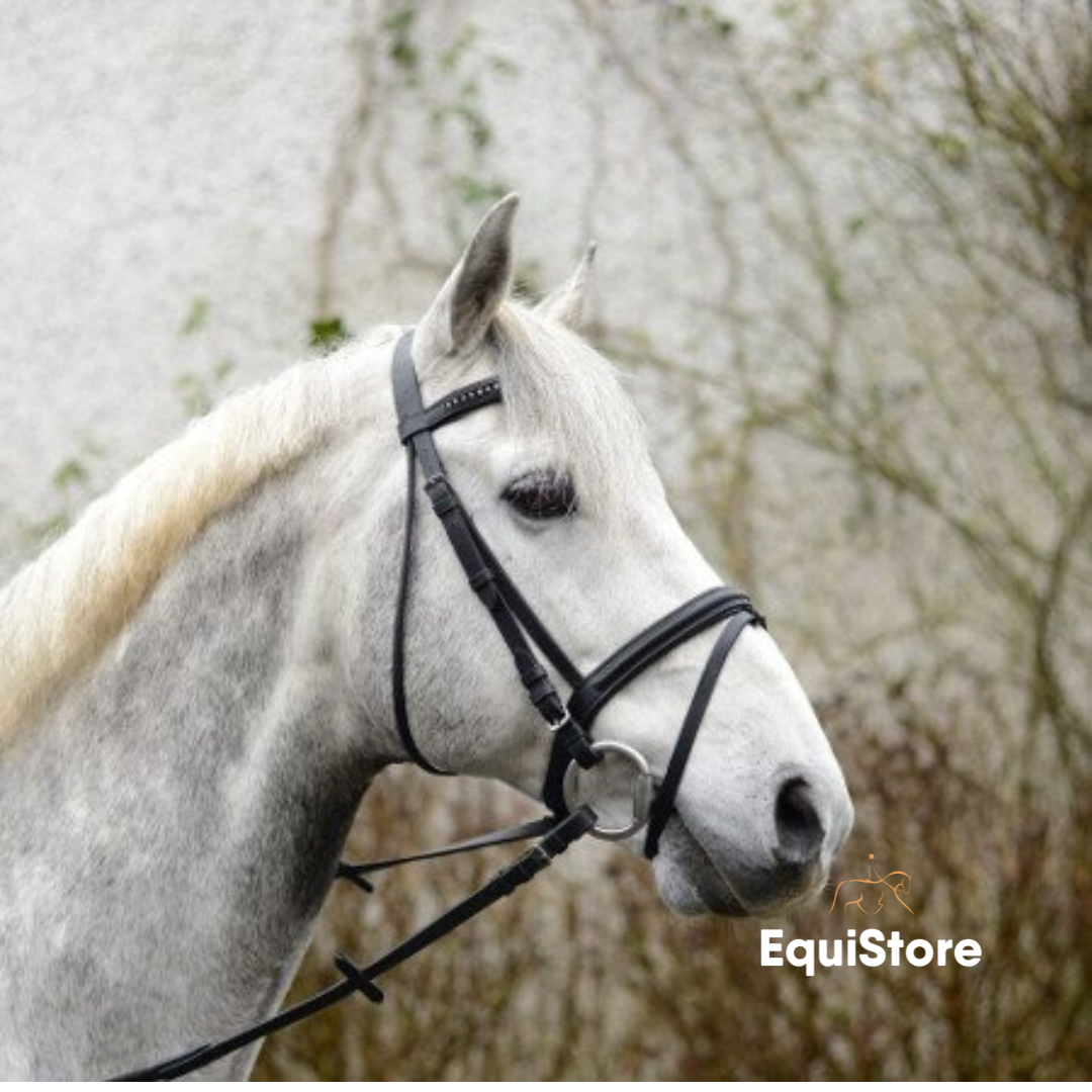 Equisential Bling Bridle and Reins a value for money bridle for every day use.