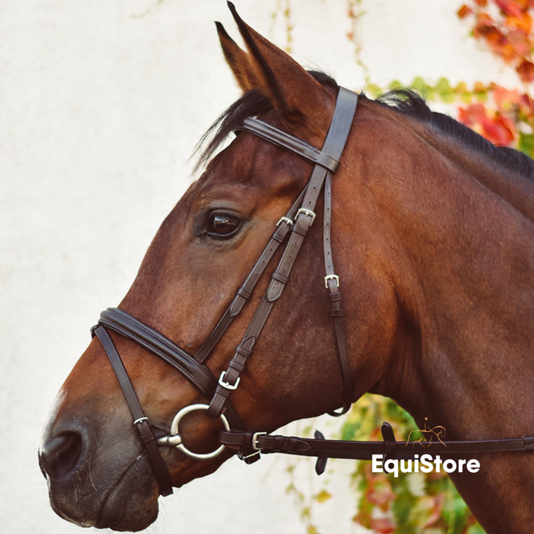 Equisential Flash Bridle and Reins