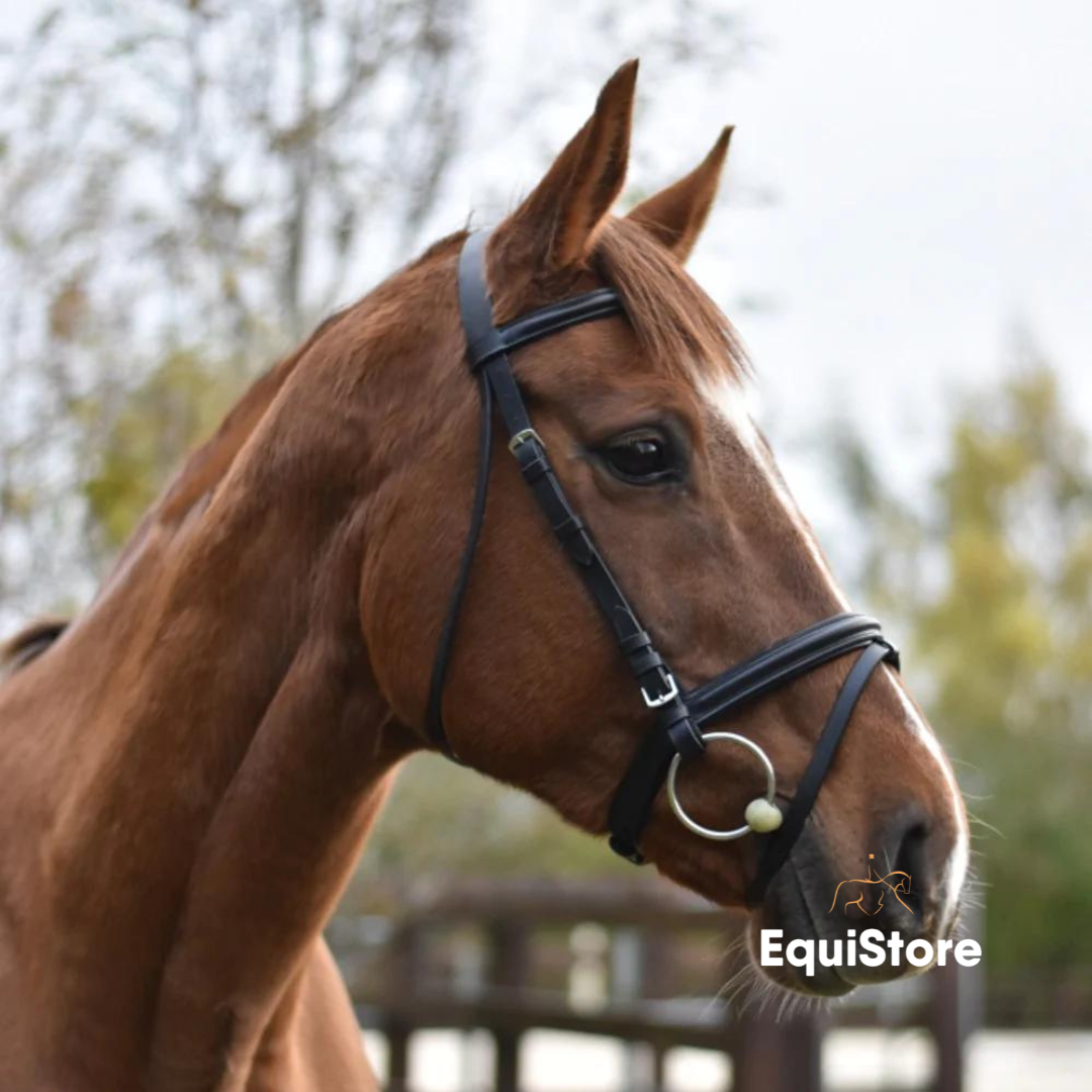Equisential Flash Bridle and Reins a value for money leather bridle.