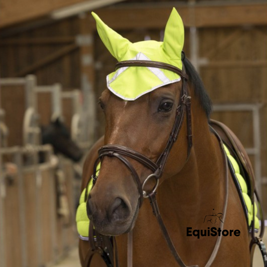 Equitheme High Viz Fly Veil for your horse