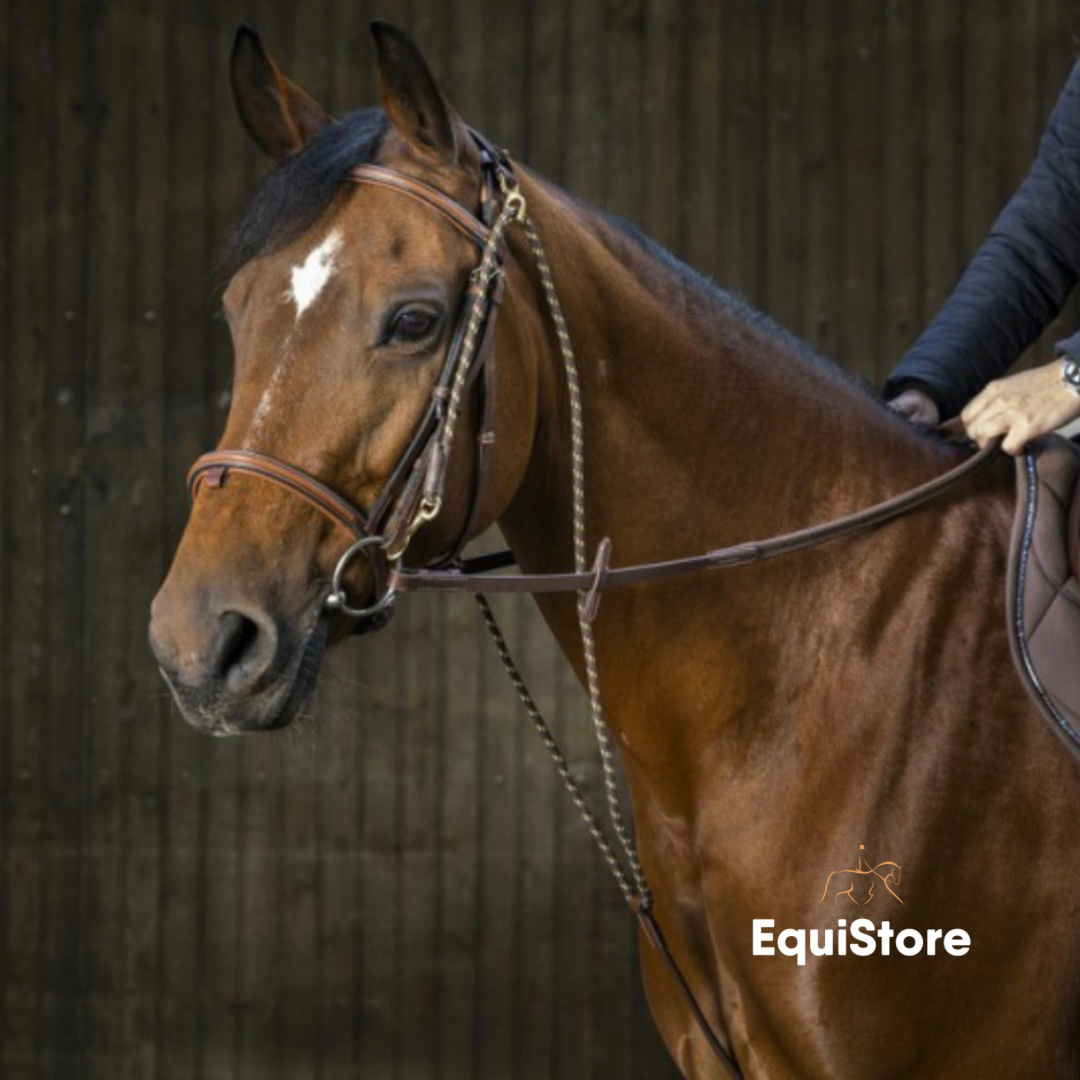 The Eric Thomas Pro Chambon is a horse training aid.