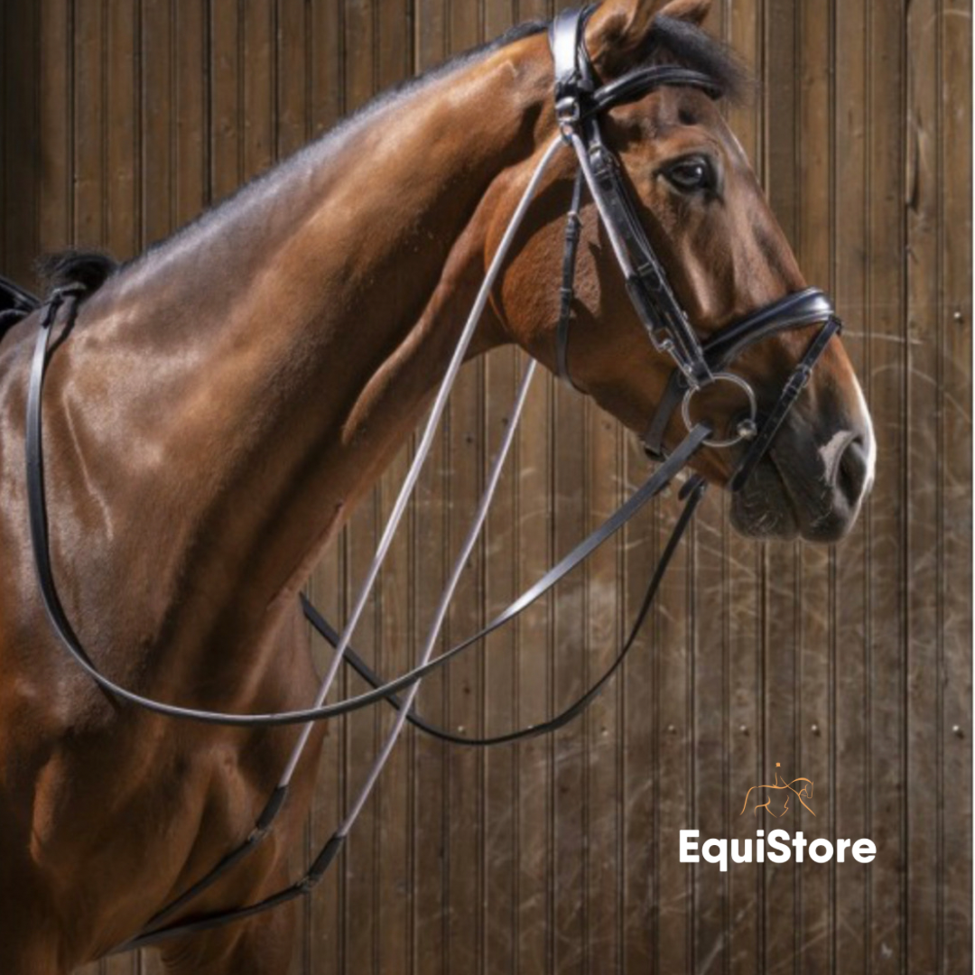 The Eric Thomas Pro Chambon is a horse training aid.