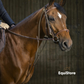 The Eric Thomas Pro Chambon is a horse training aid.