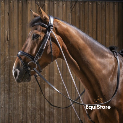 The Eric Thomas Pro Chambon is a horse training aid.