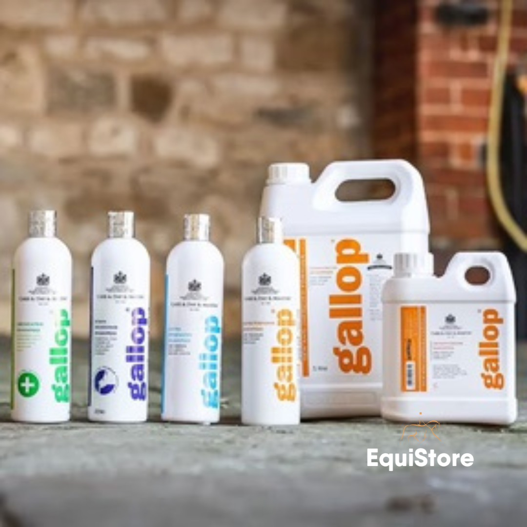 Gallop Conditioning Shampoo for horses