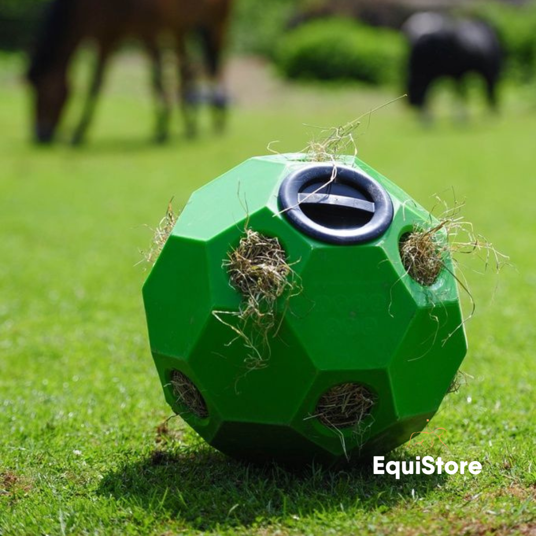Happy Hay Ball a large horse toy for containing hay and occupying time for your horse. 