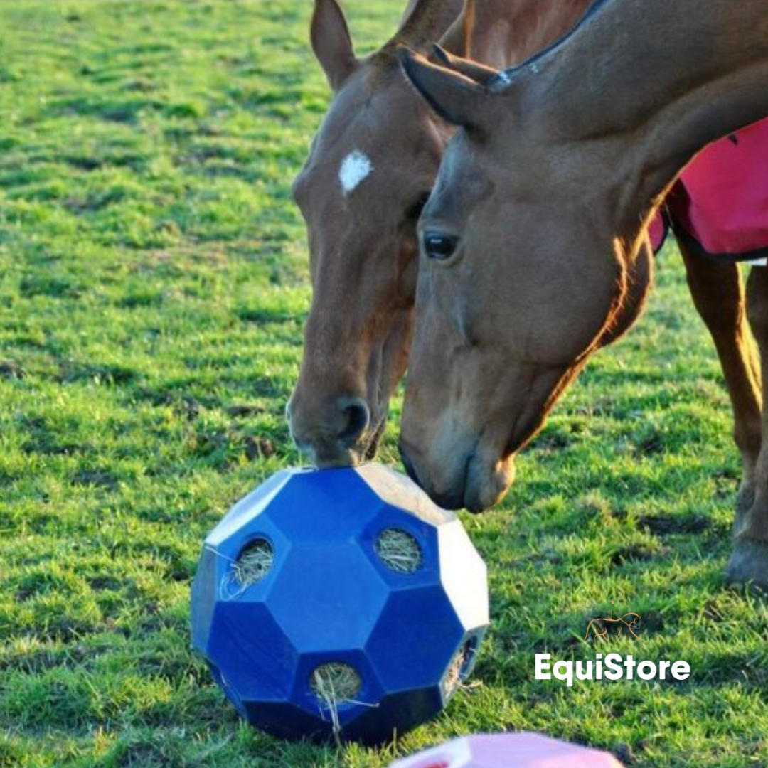 Happy Hay Play Ball for horses in blue