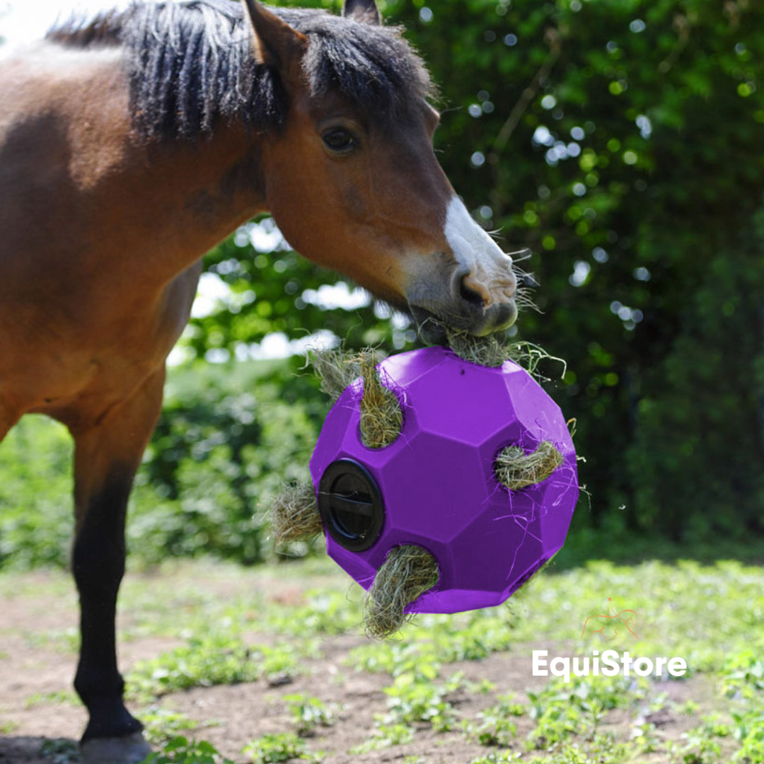 Happy Hay Play Ball for horses in purple