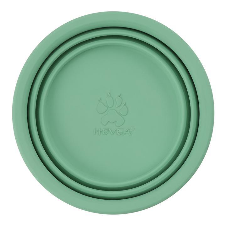 Hevea - Puppy - Bowl on the Go - Mint