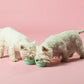 Hevea - Puppy - Bowl on the Go - Mint