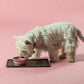 Hevea - Puppy - Bowl on the Go - Rose