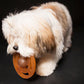 Hevea - Puppy - Galaxy Fetch Toy