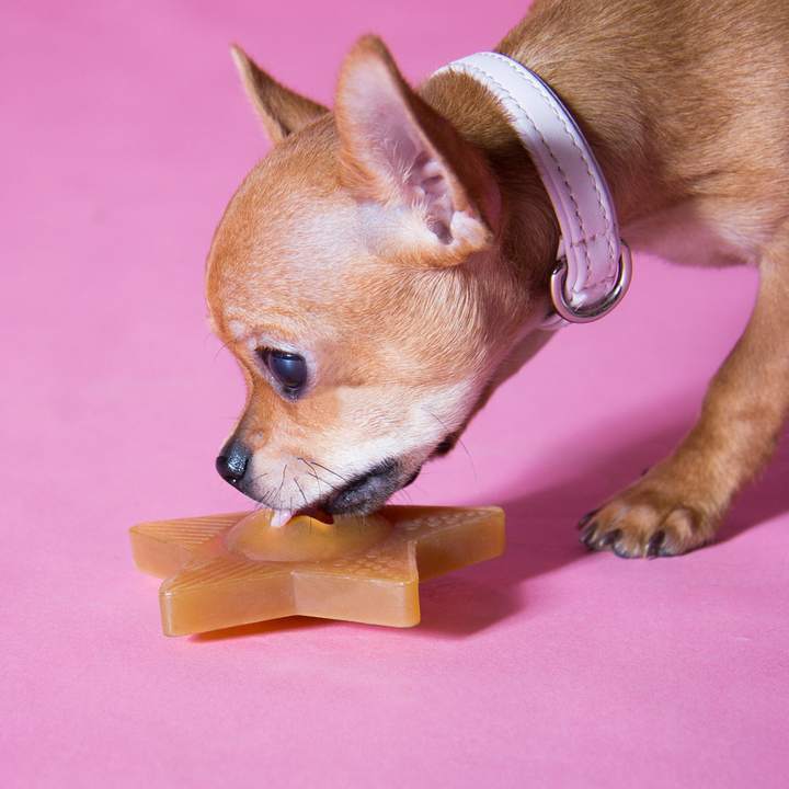 Hevea - Puppy - Star Treat Activity Toy