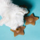 Hevea - Puppy - Star Treat Activity Toy