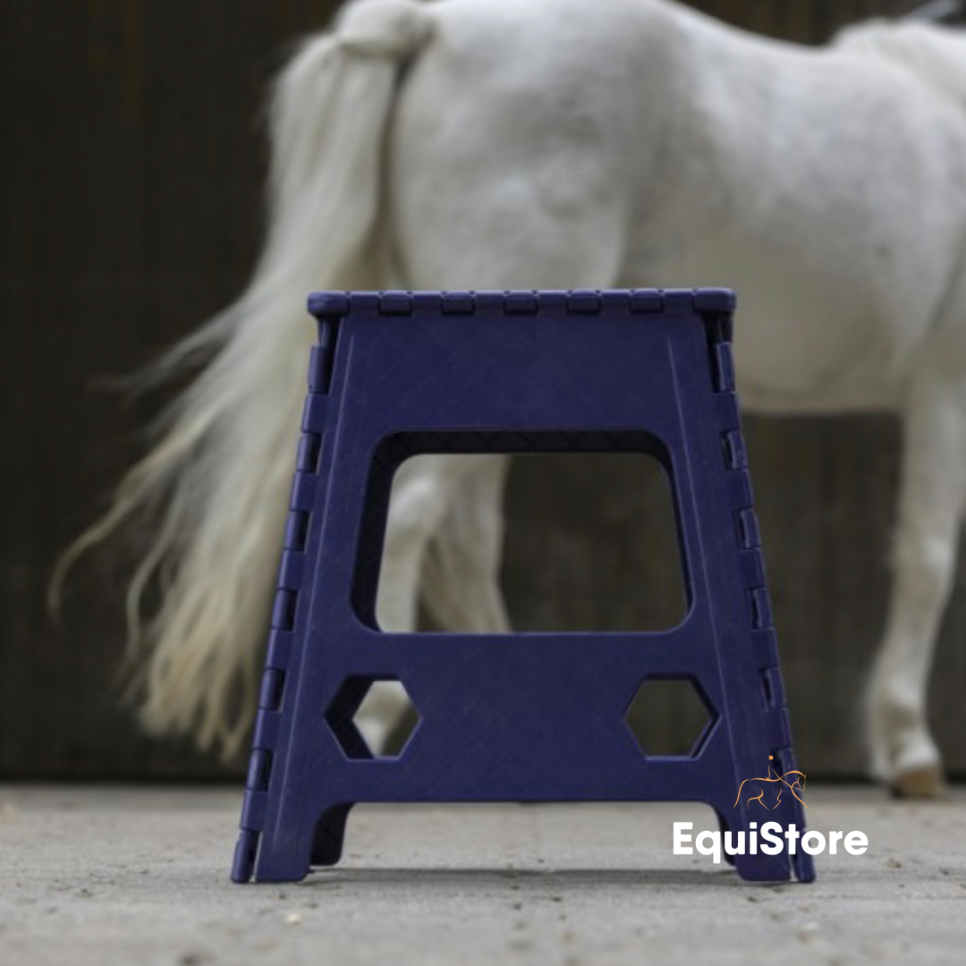 Hippotonic Folding Step Stool and mounting block in purple and black