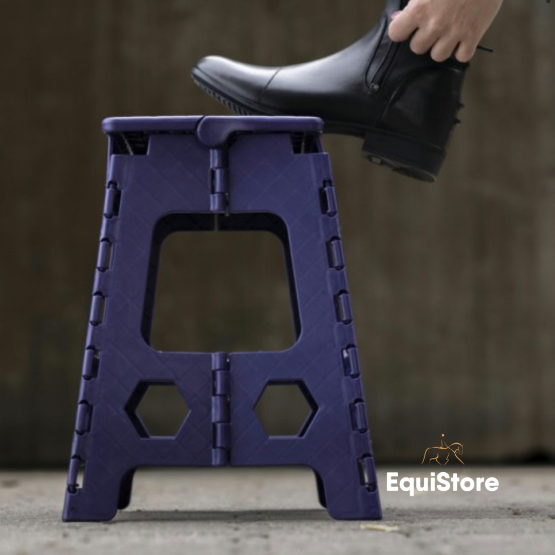Hippotonic Folding Step Stool and mounting block in purple and black