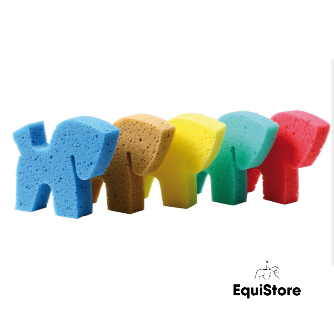 Horse Shaped Sponge for a pony grooming kit