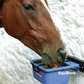 Horslyx 5kg Holder a wall mounted lick holder for your horses stable.