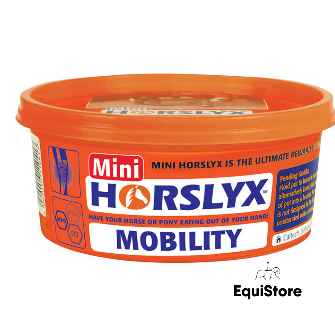 Horslyx Mini Balancer mobility