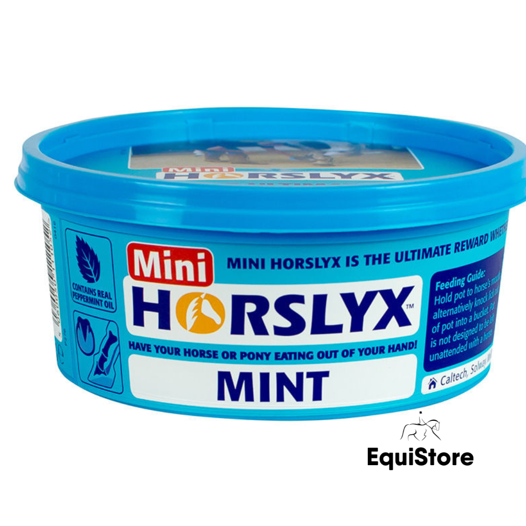 Horslyx Mini Balancer mint