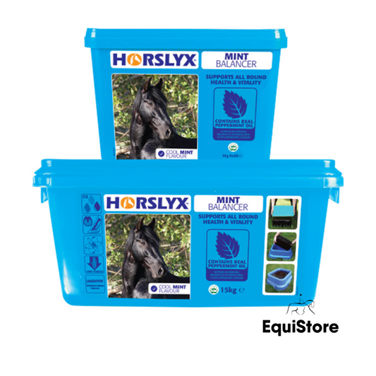 Horslyx Mint Balancer for horses
