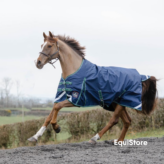 Mackey Keadeen standard neck 100g turnout rug, lightweight waterproof rug for your horse.