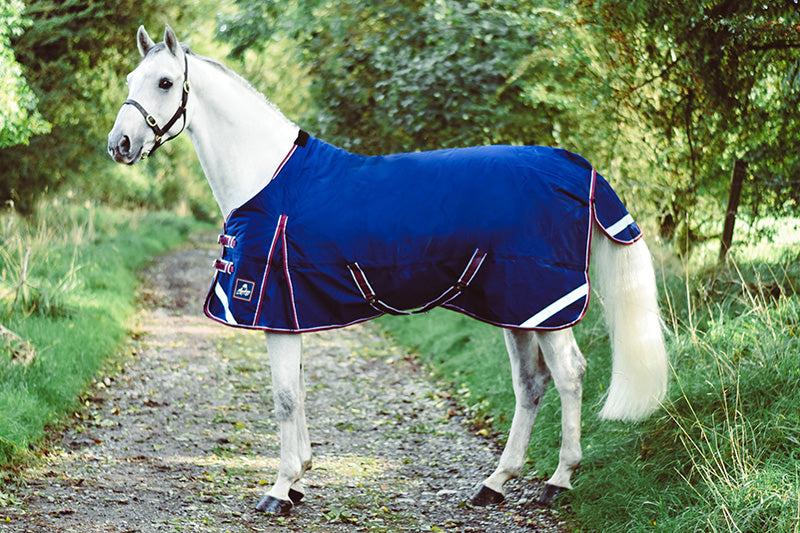 A grey horse outdoors wearing s middleweight turnout rug made by Mackey. Keadeen turnout rug with a standard neck and shoulder gusset.
