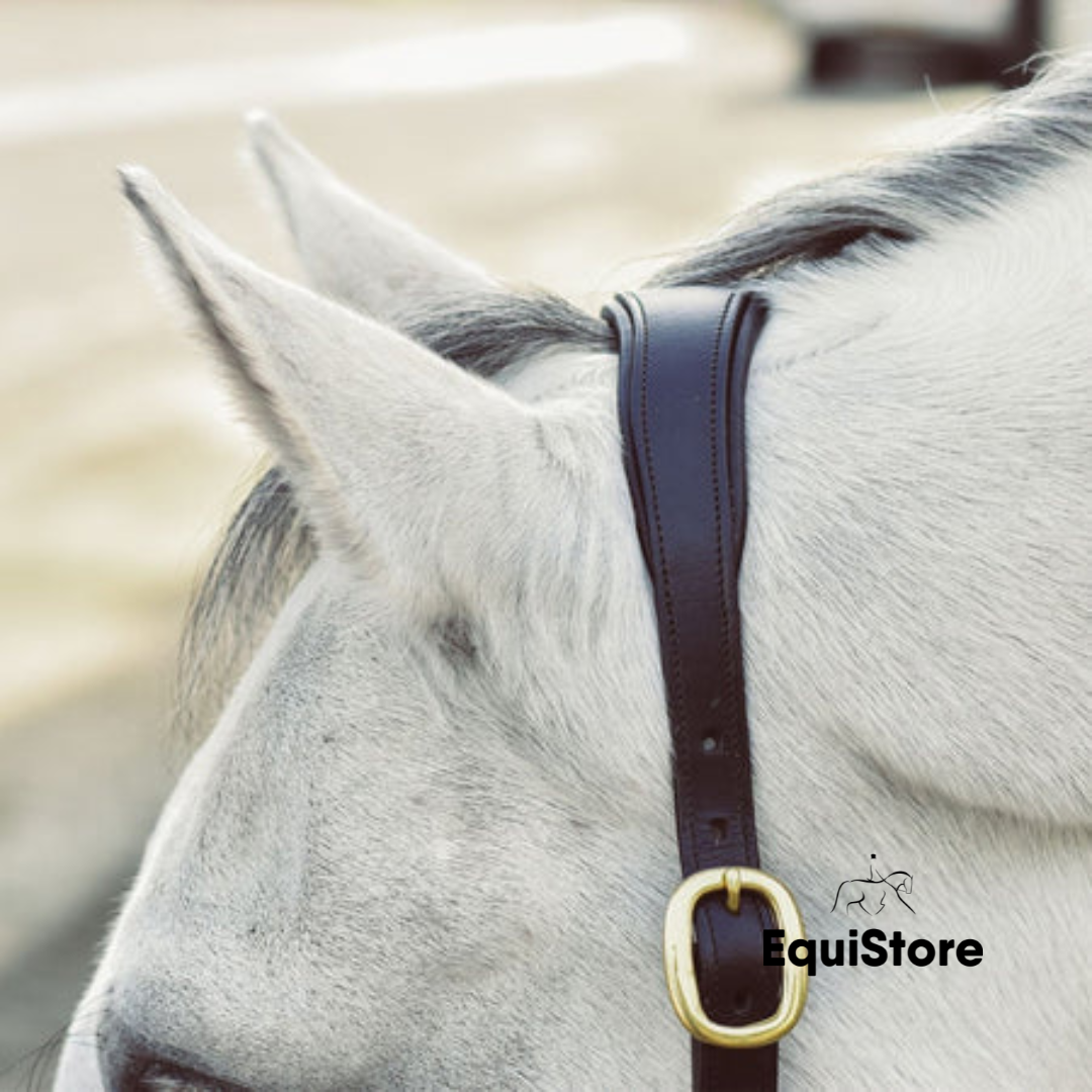 Legend Helios Leather Headcollar a premium horse halter made by Mackey.