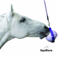 Likit Boredom Buster a horse treat toy
