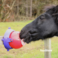 Likit Tongue Twister a horse treat toy