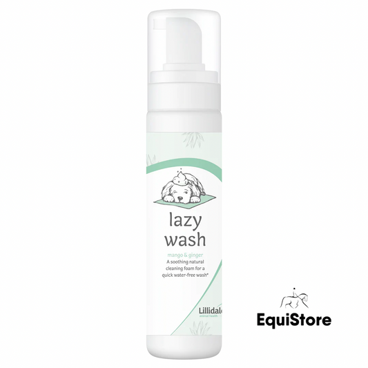 Lillidale Lazy Wash Foam (No Rinse)