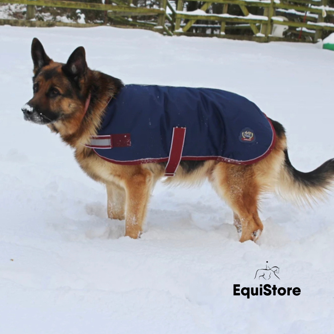 Mackey Buster 600D Dog Rug a warm and waterproof dog coat.