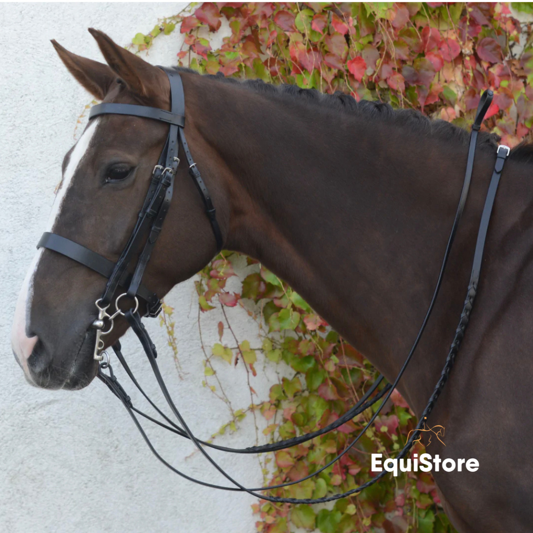 Mackey Classic Double Bridle and Reins