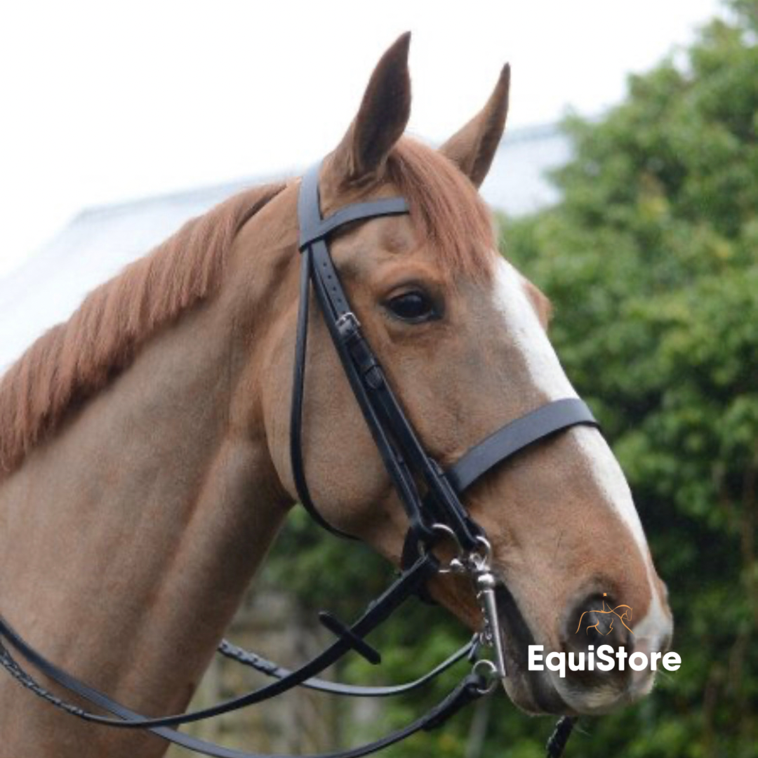 Mackey Classic Double Bridle and Reins. One rein is plain and the other is plaited.