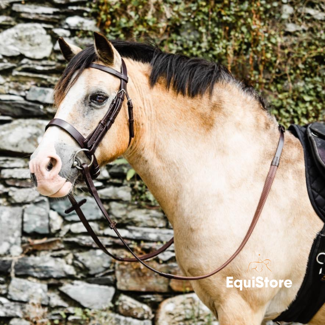 traditionally styled bridle for your horse