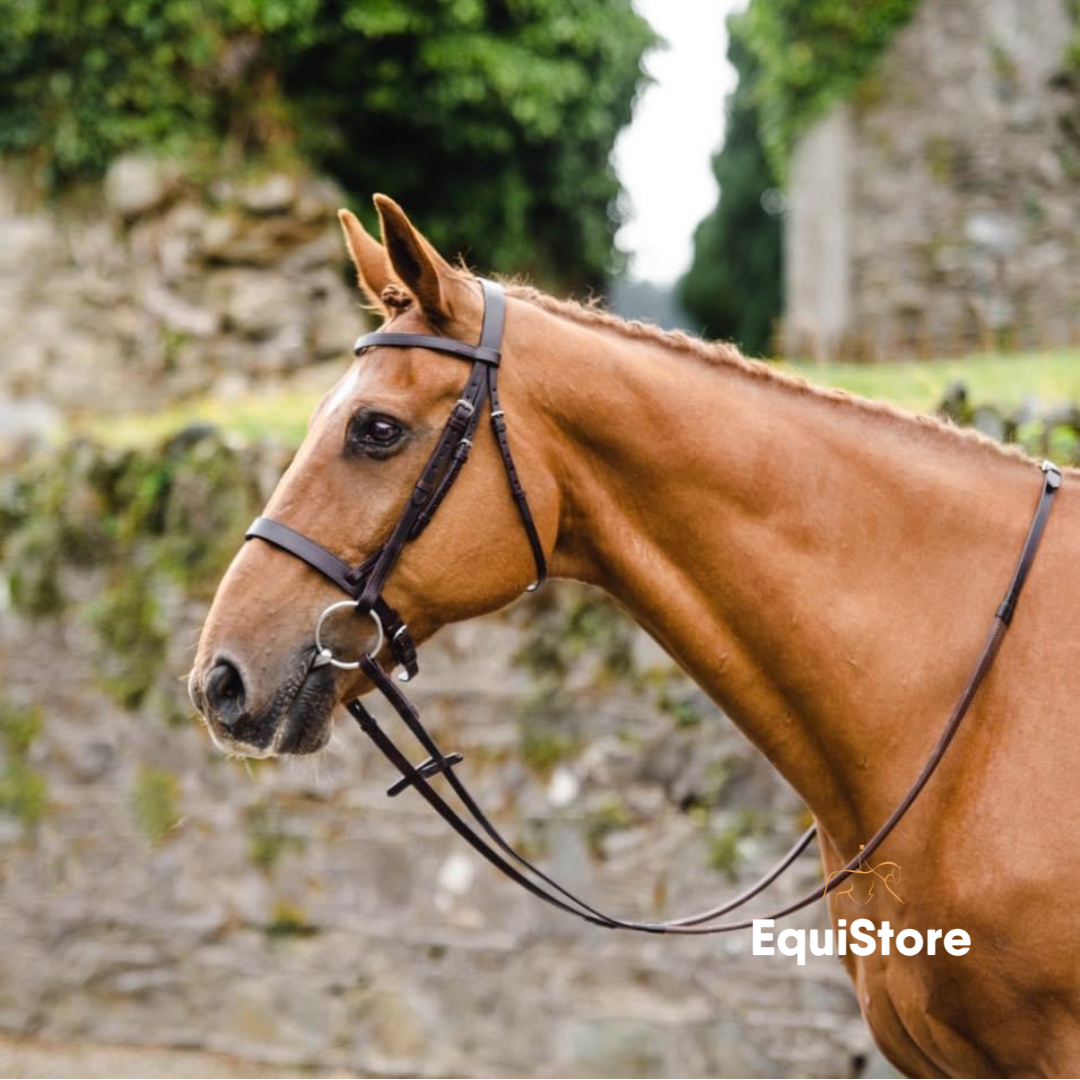 traditionally styled bridle for your horse