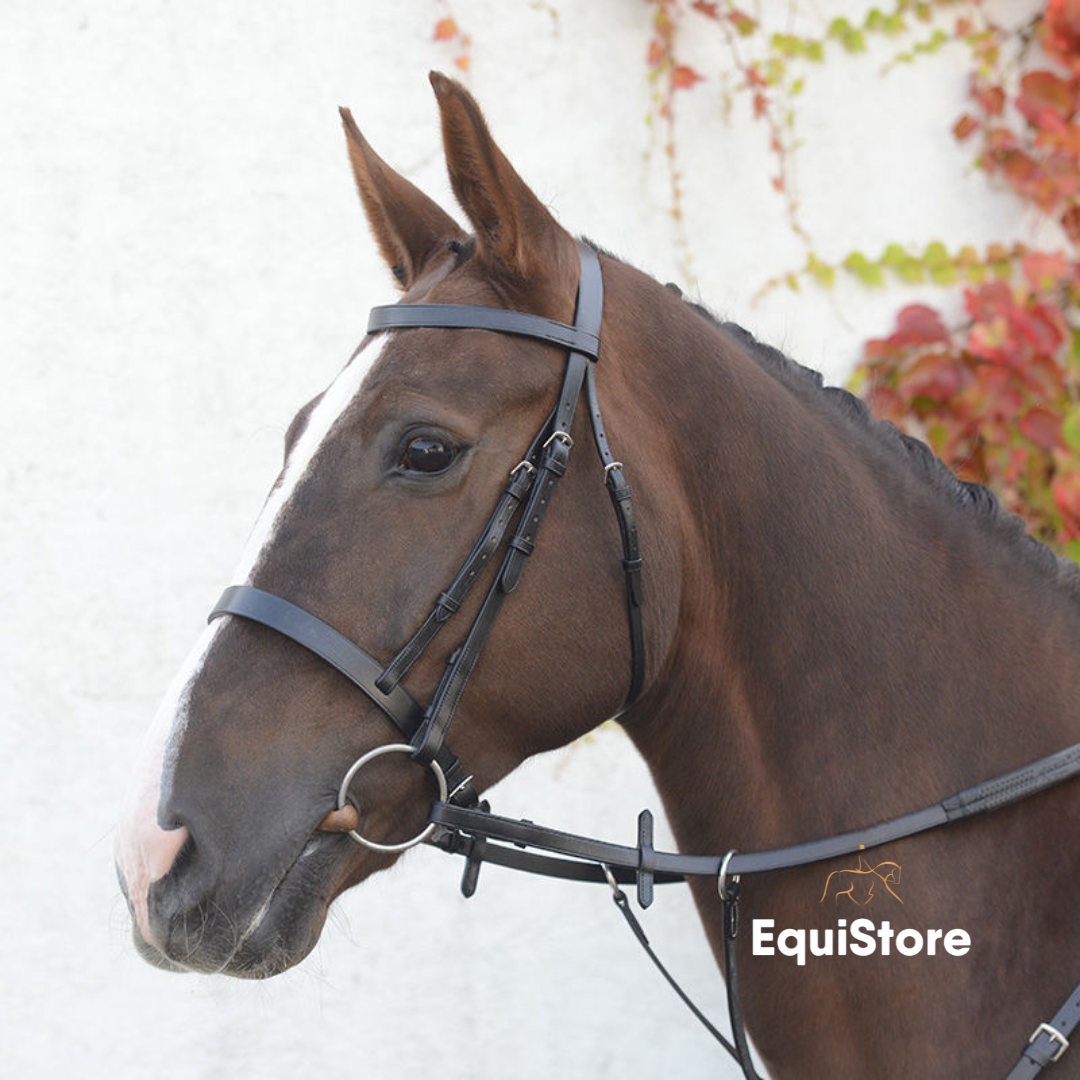 Mackey Classic Hunt Bridle, a traditionally styled bridle for your horse. 