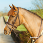 Mackey Classic Padded Flash Bridle and Reins