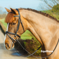Mackey Classic Padded Flash Bridle and Reins
