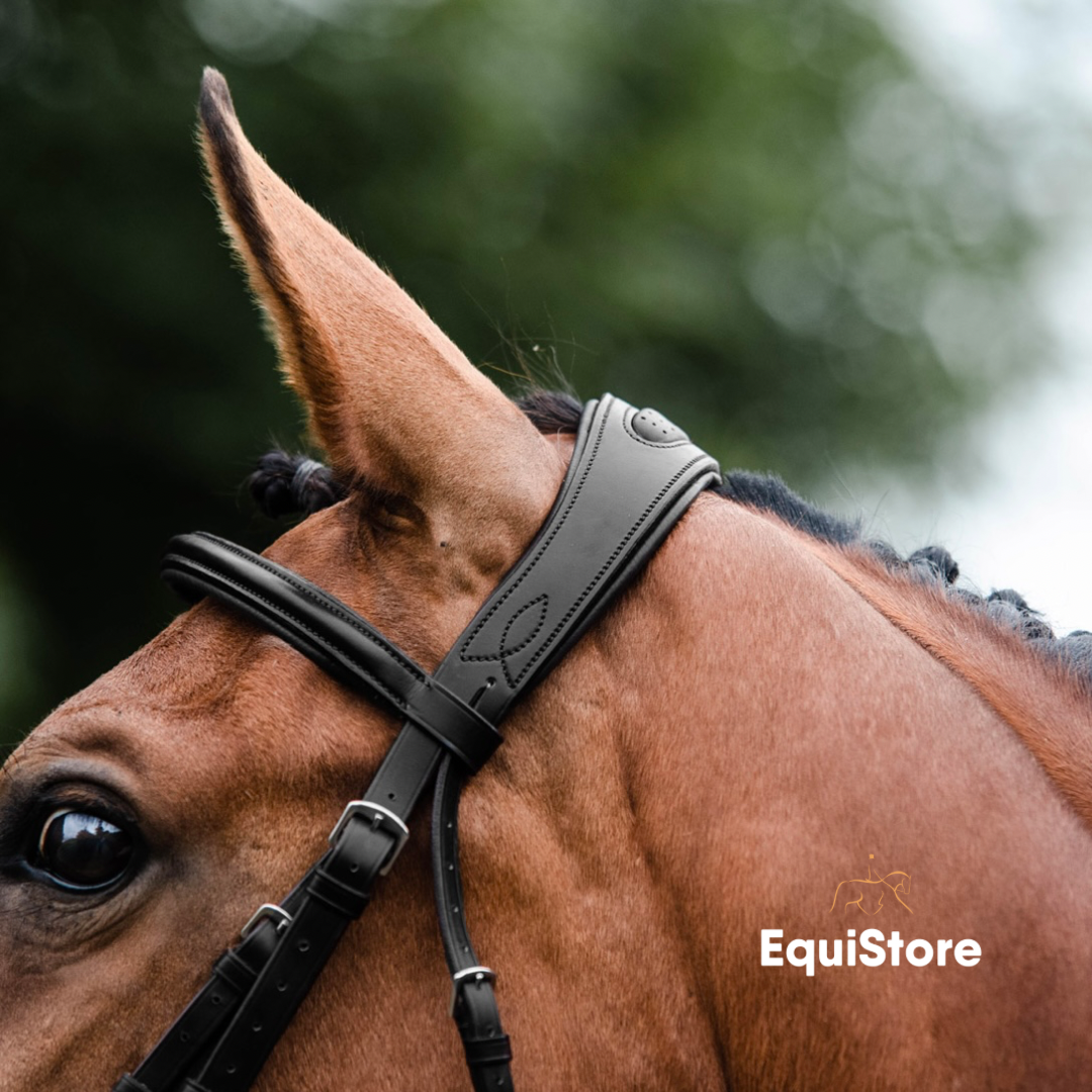 Mackey Legend Athena Anatomical Bridle and Reins