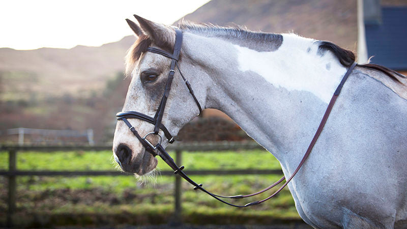 Mackey Legend Athena Anatomical Bridle and Reins