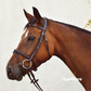 Mackey Legends Flash Bridle and Reins for your horse.