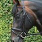 Mackey Legend Flash Bridle and Reins