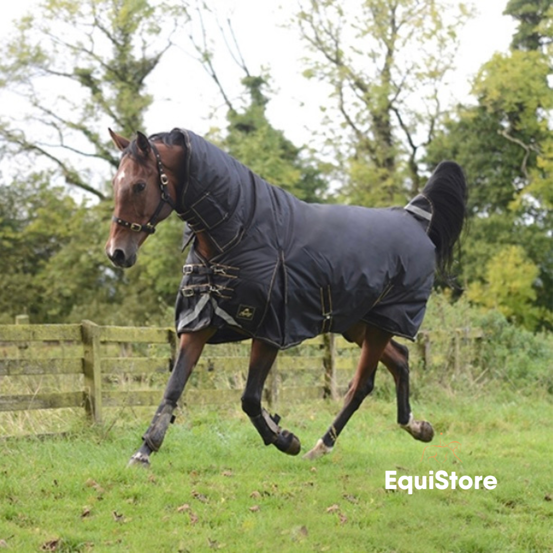 Mackey Lugnaquilla Plus Full Neck Rug 360g a heavyweight turnout rug for horses.