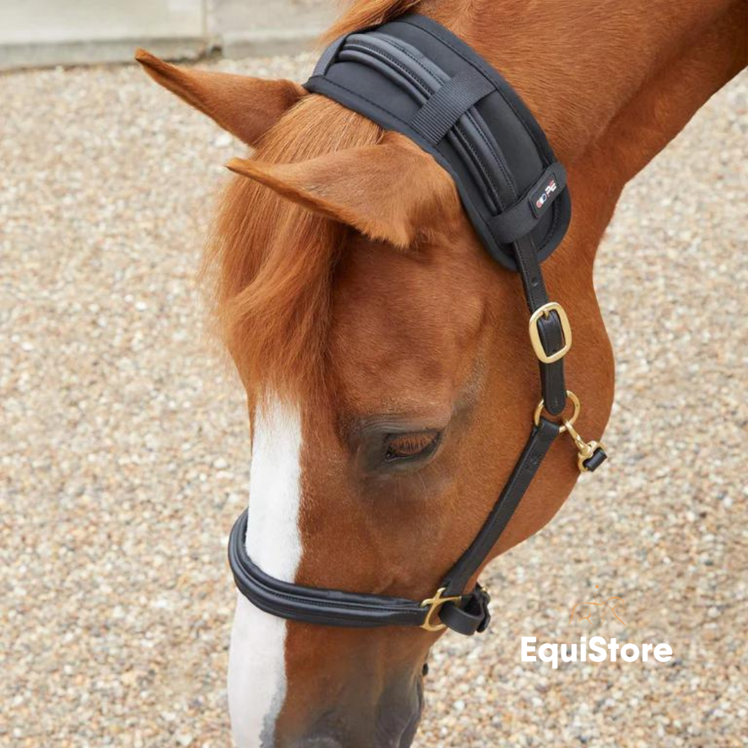 Premier Equine Magni-Teque Magnetic Poll Band for horses