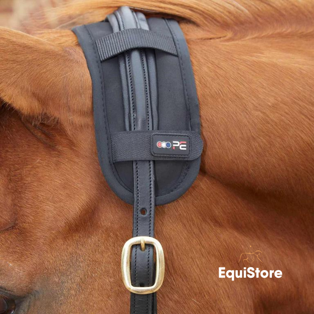 Premier Equine Magni-Teque Magnetic Poll Band for horses